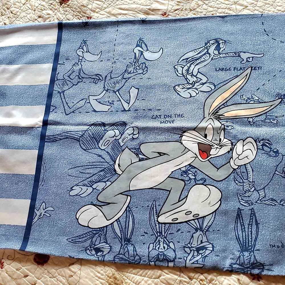 Vintage 1996 Warner Bros Bugs Bunny and Taz Pillowcase Blueprint Looney Tunes
